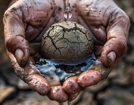Earth Finance, зі своїм багатовекторним підходом, допомагає компаніям адаптуватися до змін клімату / stockcake.com