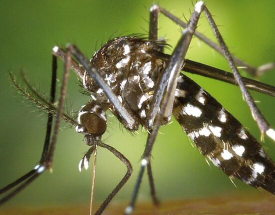 Розробники намагалися створити альтернативу існуючим пестицидам та фумігаторам